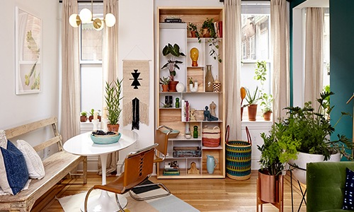 living room with bookshelf and plants