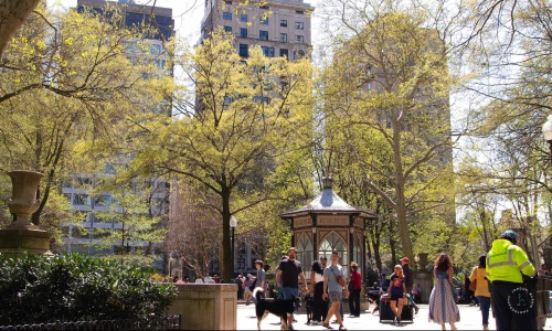 people walking through park gate